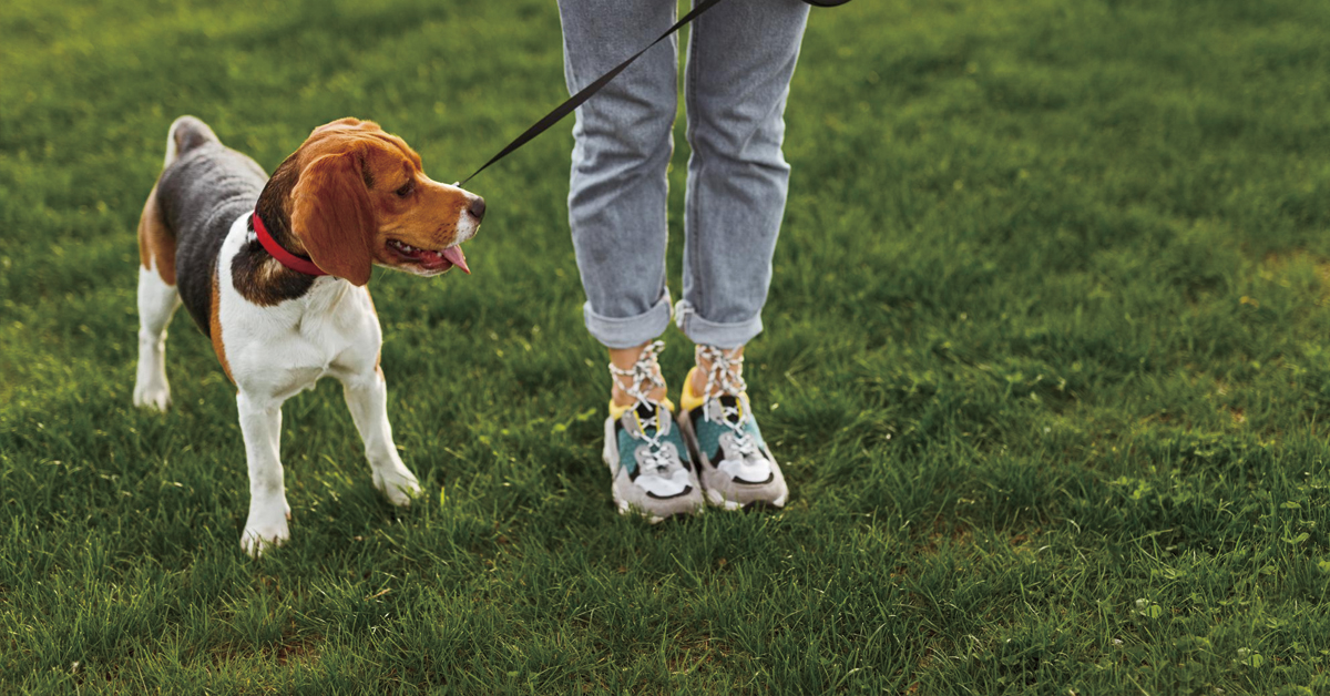 mujer paseando a su perro