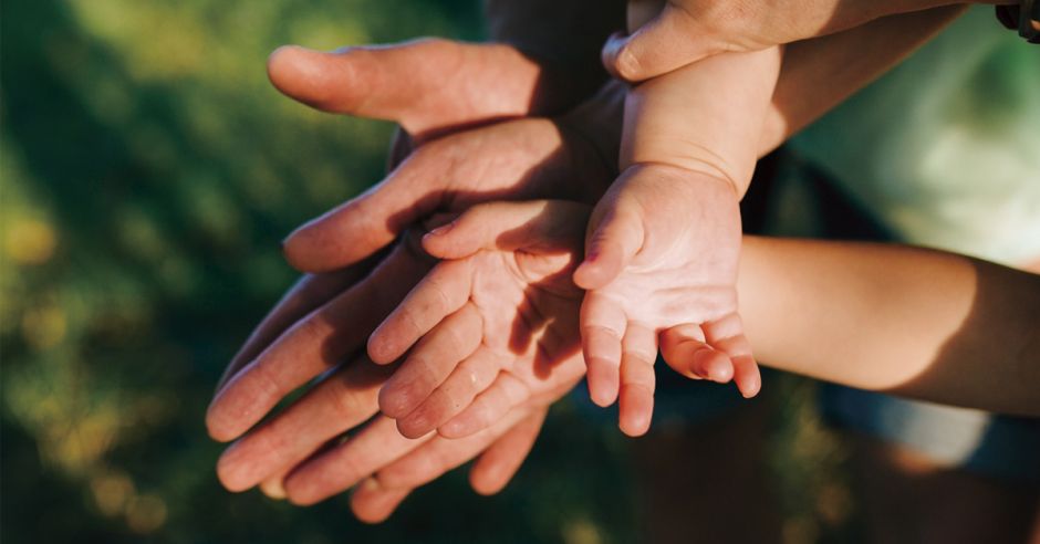Todo lo que necesitas saber sobre seguros de vida